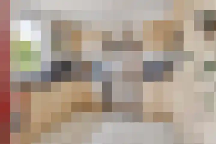 Raminhout 34 Zoetermeer thumbnail 18