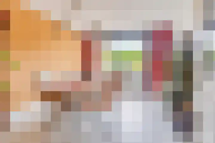 Raminhout 34 Zoetermeer thumbnail 19