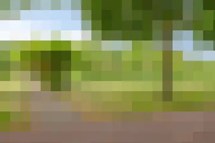 Raminhout 34 Zoetermeer thumbnail 21