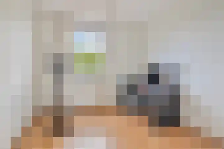 Raminhout 34 Zoetermeer thumbnail 31