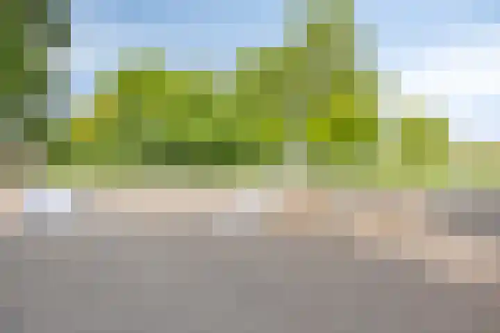 Raminhout 34 Zoetermeer thumbnail 32