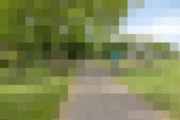Raminhout 34 Zoetermeer thumbnail 33