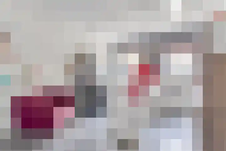 Raminhout 34 Zoetermeer thumbnail 6