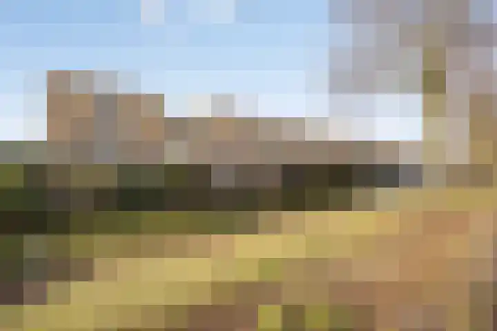 Raminhout 51 Zoetermeer