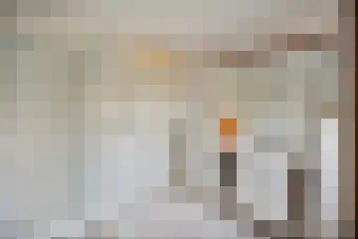 Raminhout 51 Zoetermeer thumbnail 15