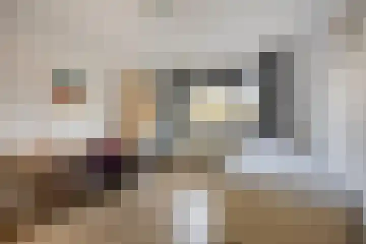 Raminhout 51 Zoetermeer thumbnail 17