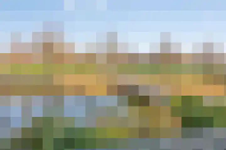 Raminhout 51 Zoetermeer thumbnail 25