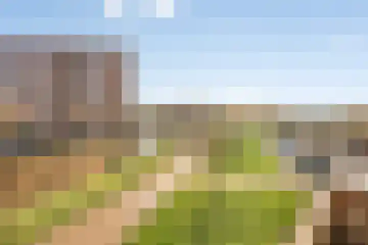 Raminhout 51 Zoetermeer thumbnail 26