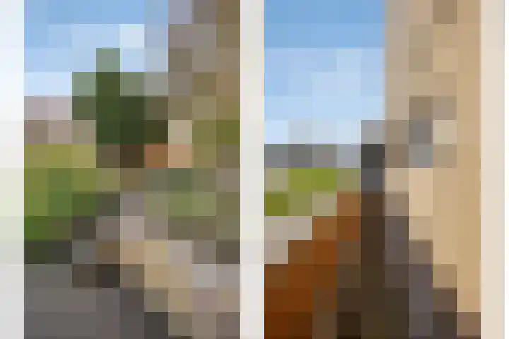 Raminhout 51 Zoetermeer thumbnail 33