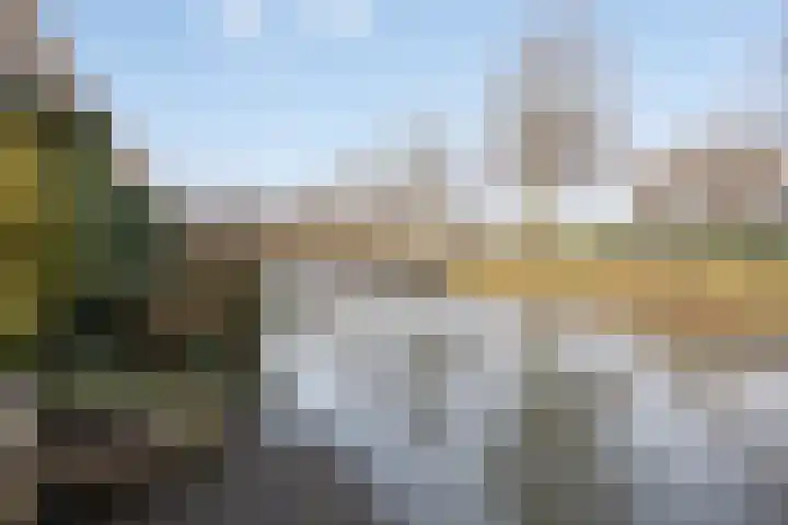 Raminhout 51 Zoetermeer thumbnail 36