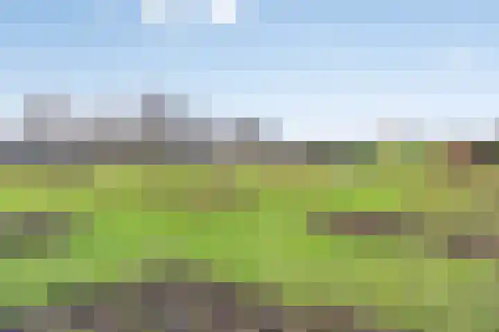Raminhout 51 Zoetermeer thumbnail 38