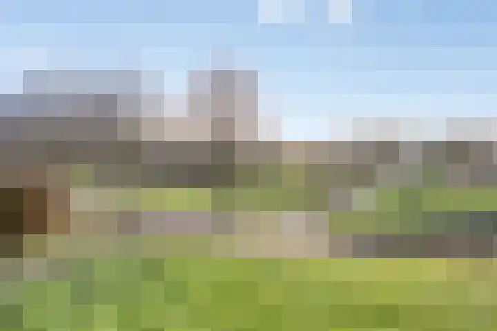 Raminhout 51 Zoetermeer thumbnail 39