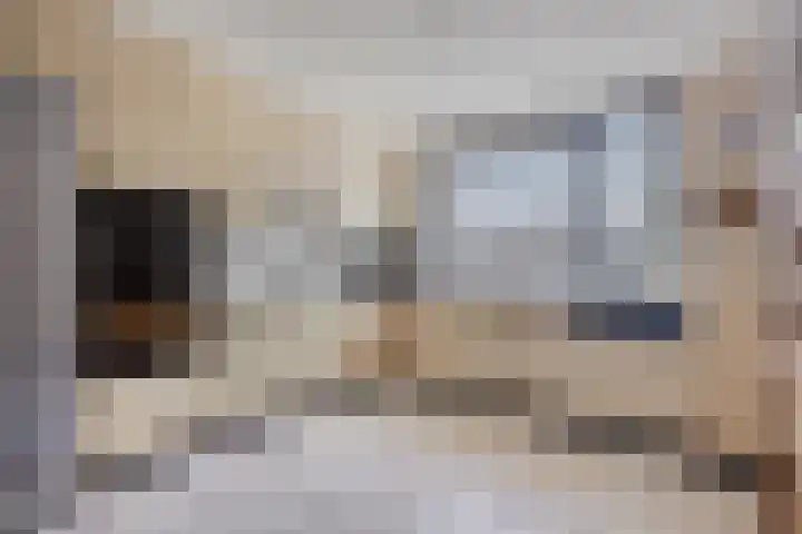 Raminhout 51 Zoetermeer thumbnail 6