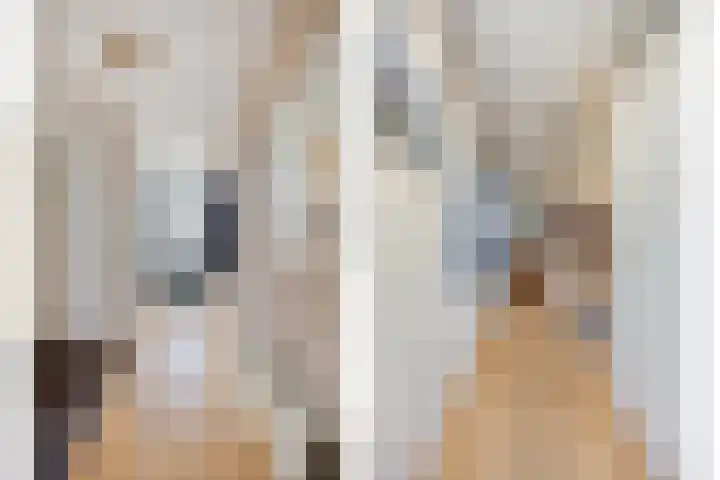Raminhout 51 Zoetermeer thumbnail 8