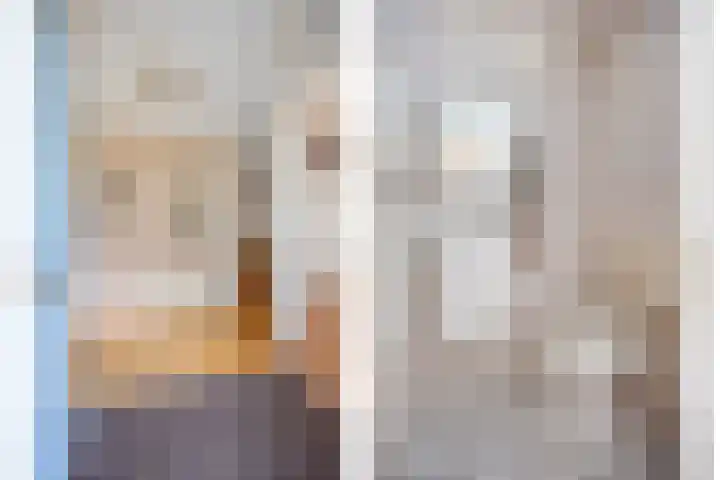 Raminhout 51 Zoetermeer thumbnail 9