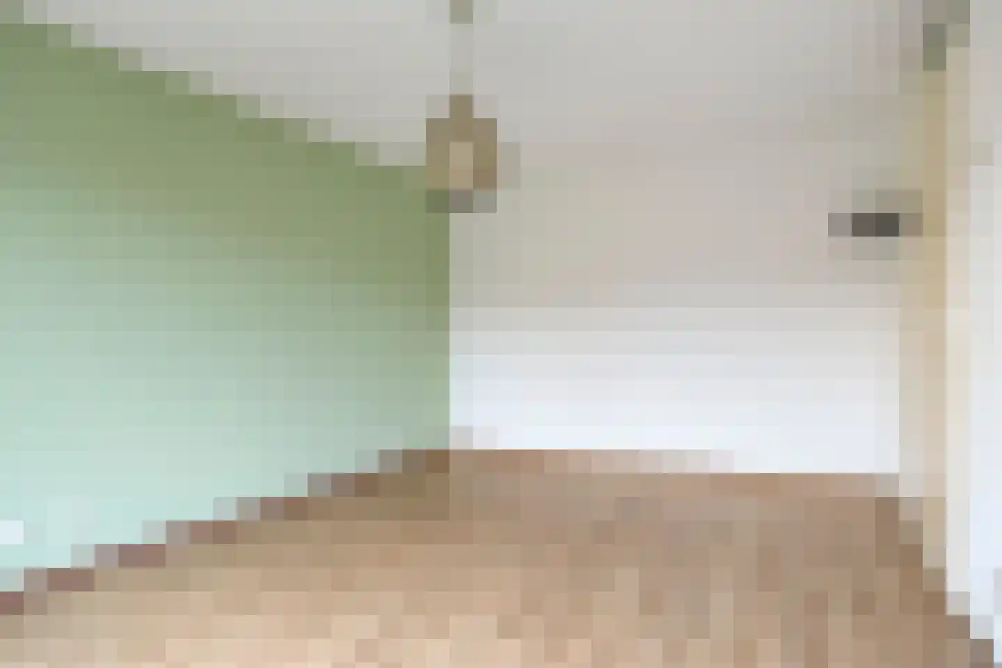 Raminhout 7 Zoetermeer thumbnail 16