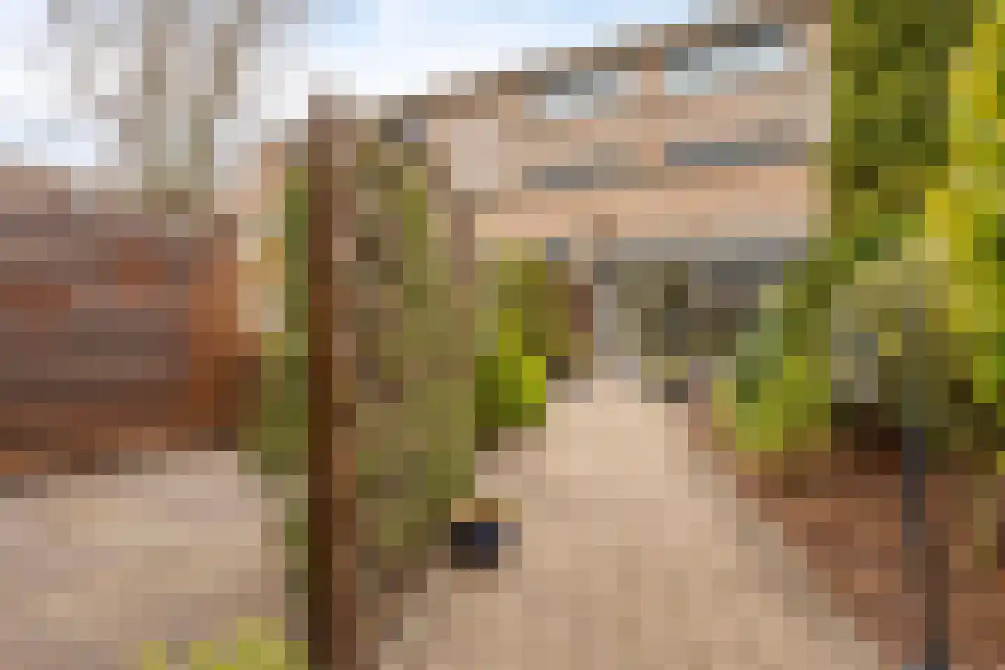 Raminhout 7 Zoetermeer thumbnail 31