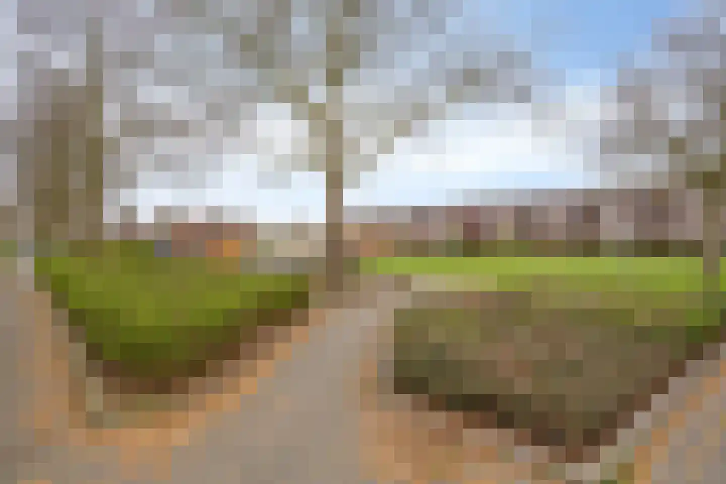 Raminhout 7 Zoetermeer thumbnail 33