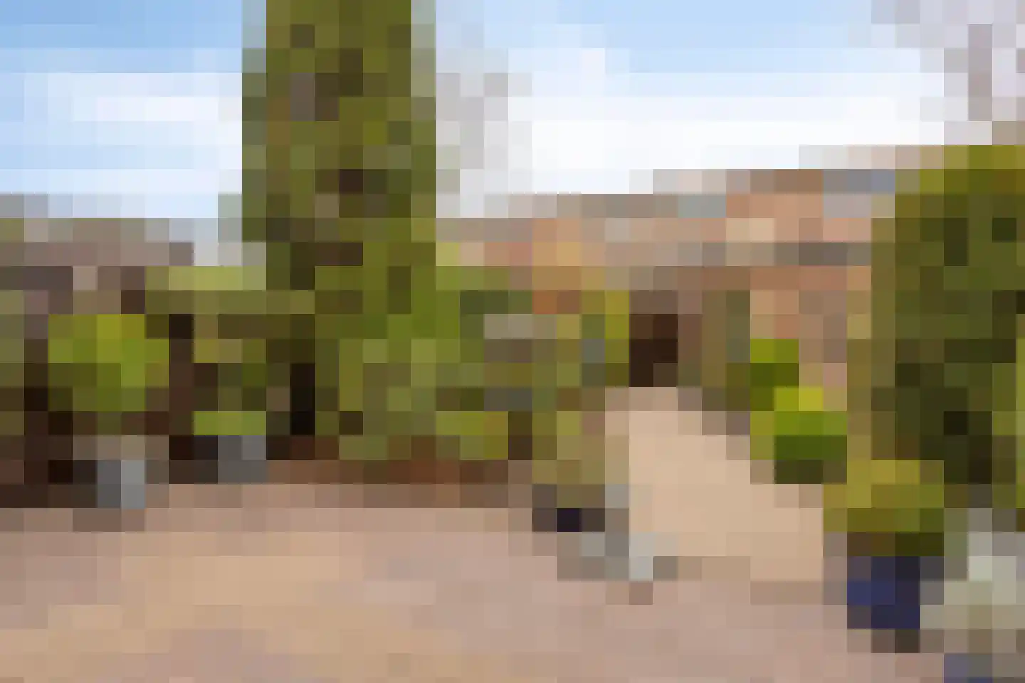 Raminhout 7 Zoetermeer thumbnail 5