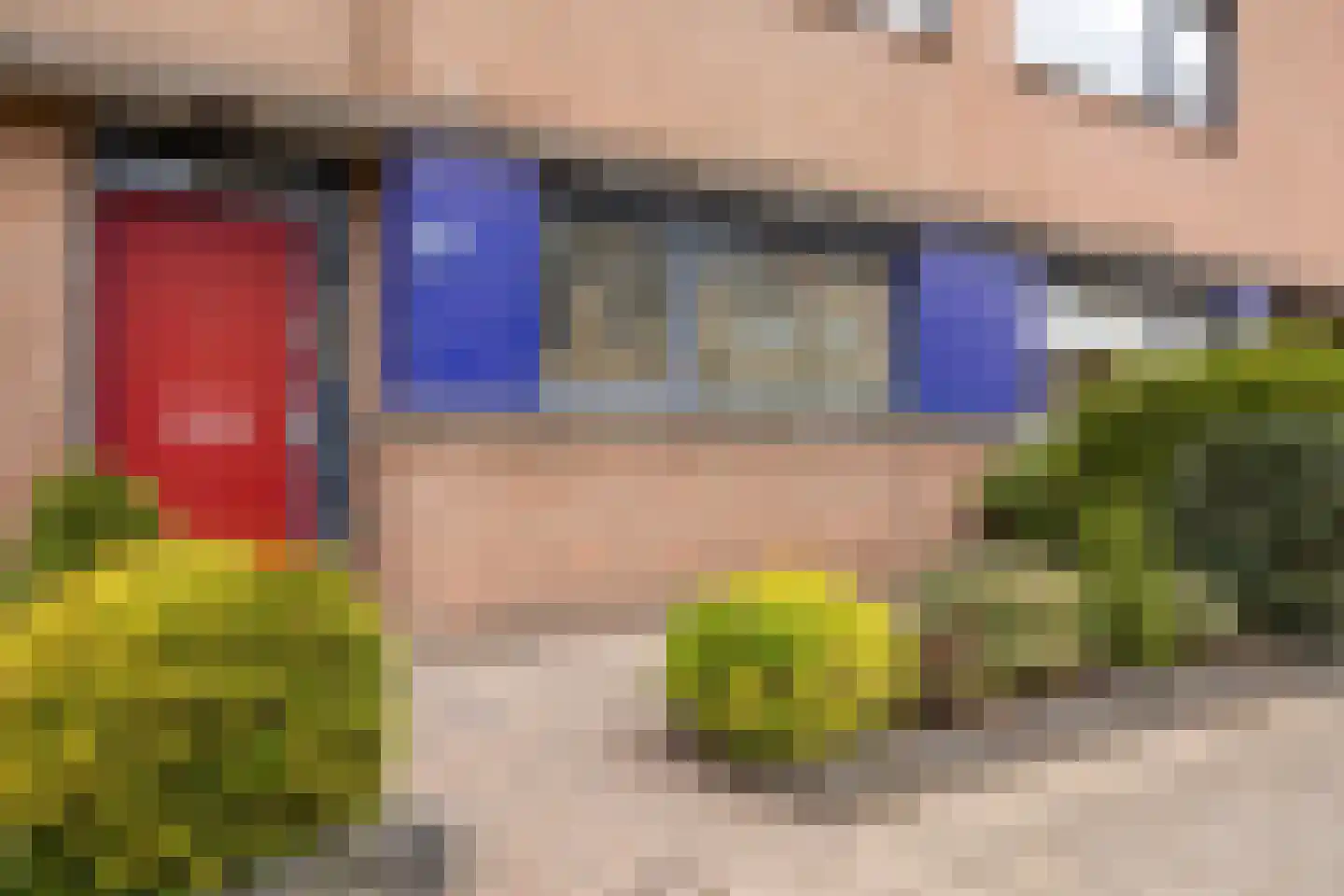 Raminhout 7 Zoetermeer thumbnail 8