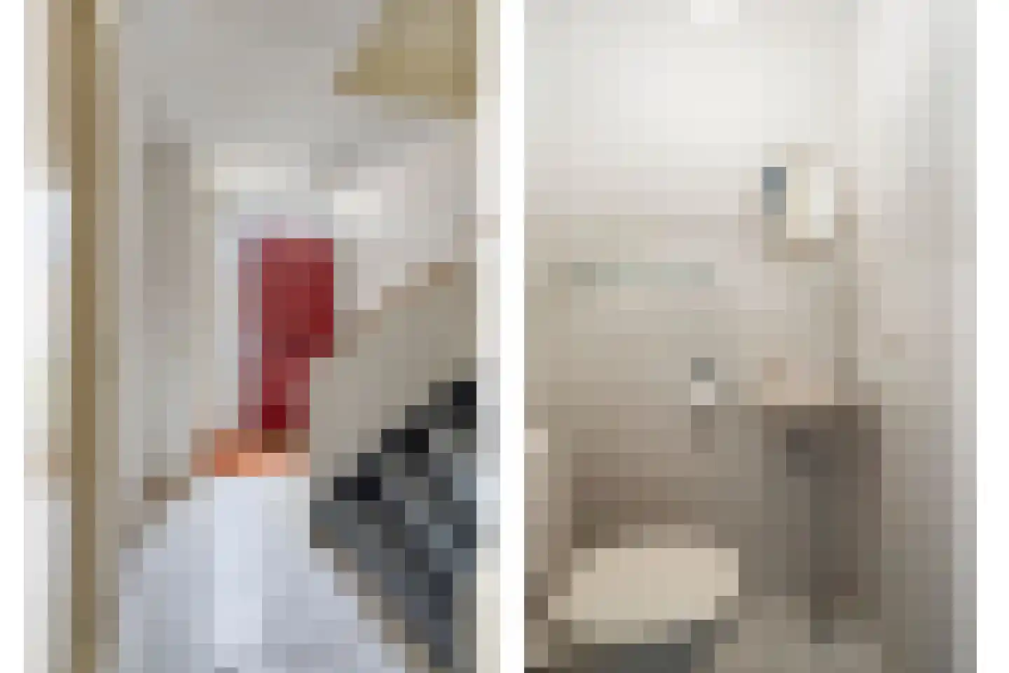 Raminhout 7 Zoetermeer thumbnail 9