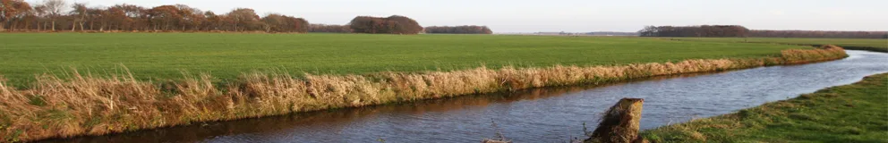 Mannschaftsfoto von Ramkema Assurantie- & Makelaarsbedrijf