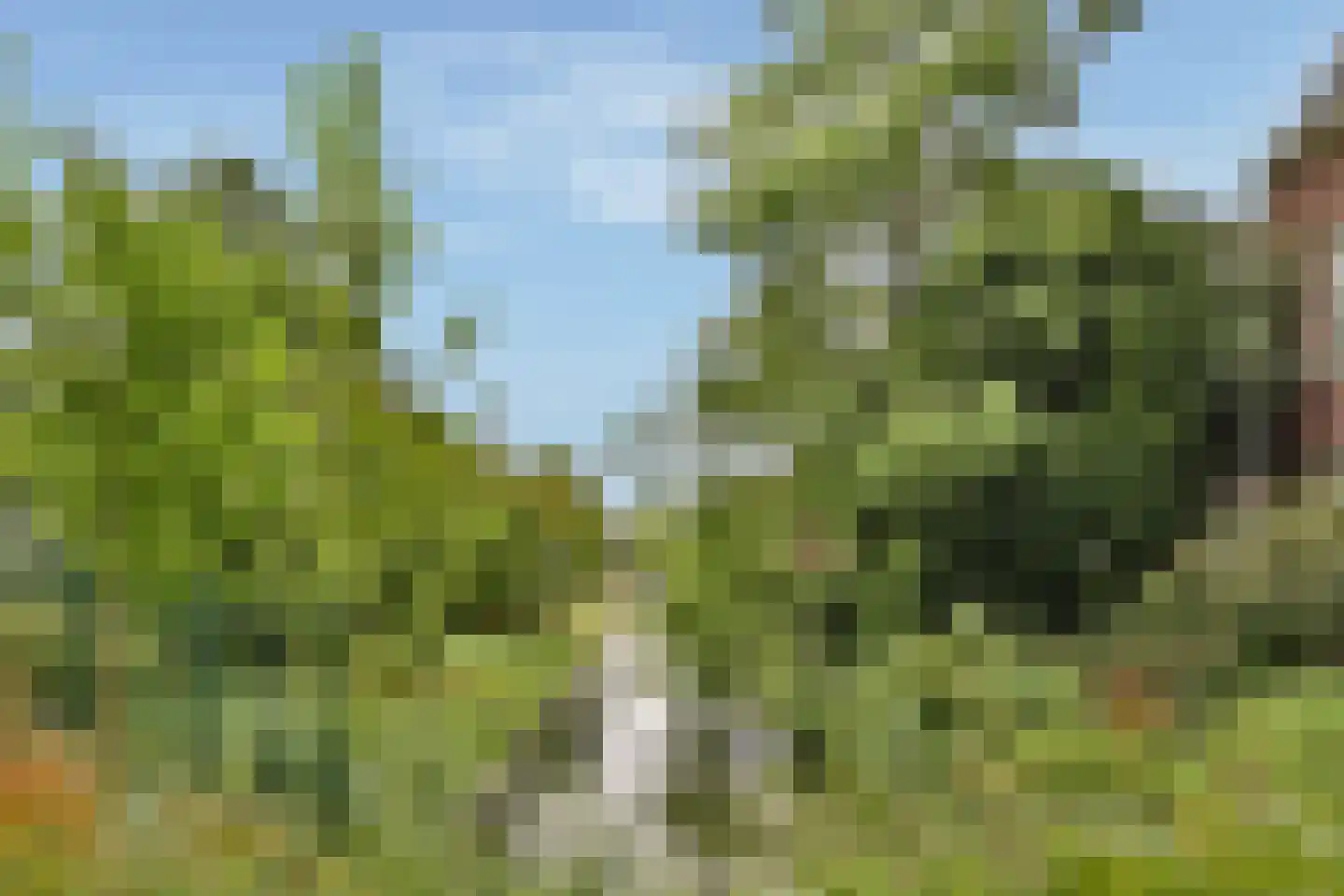 Ramlehweg 11 A Rotterdam thumbnail 22