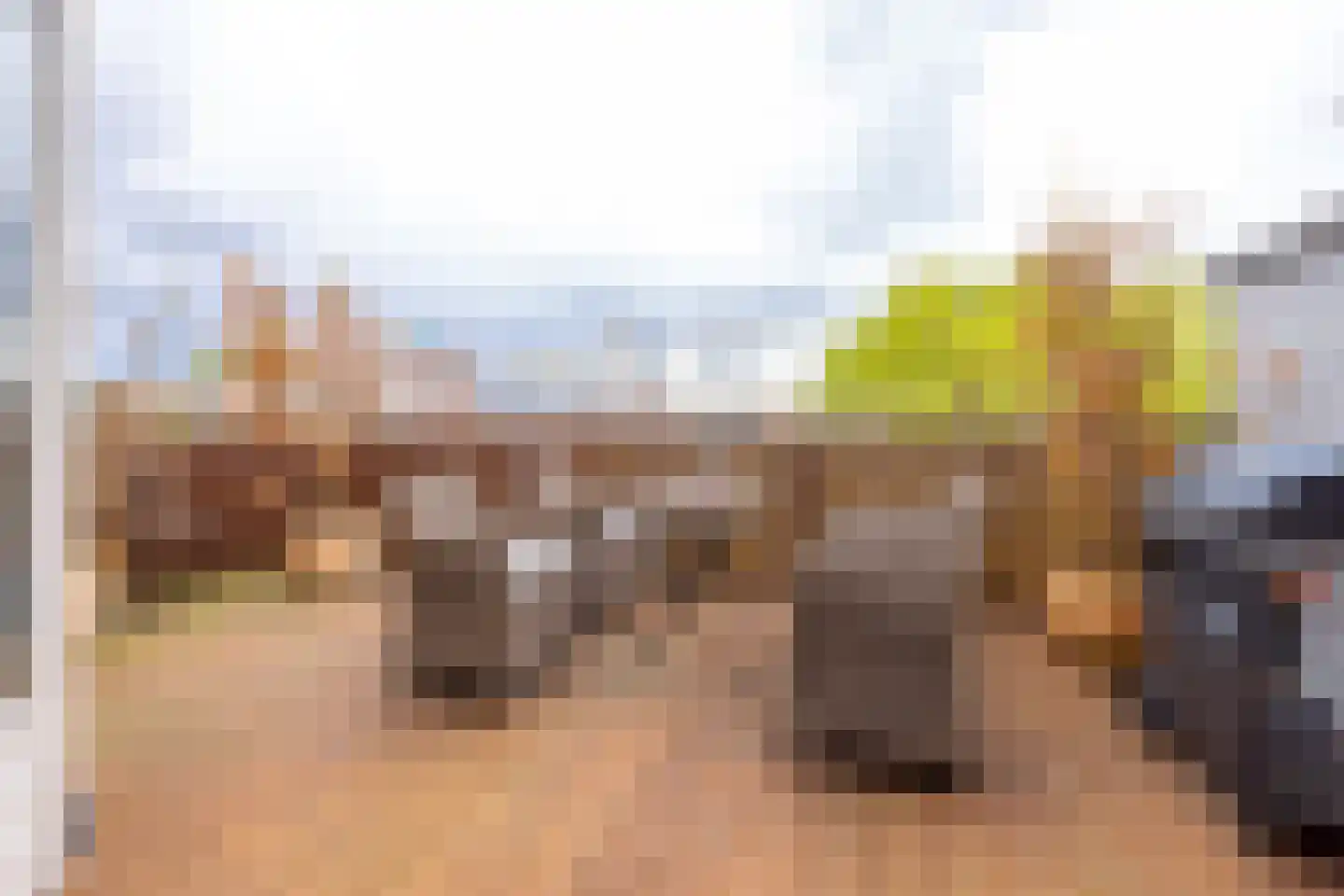 Ramlehweg 29 B Rotterdam thumbnail 5