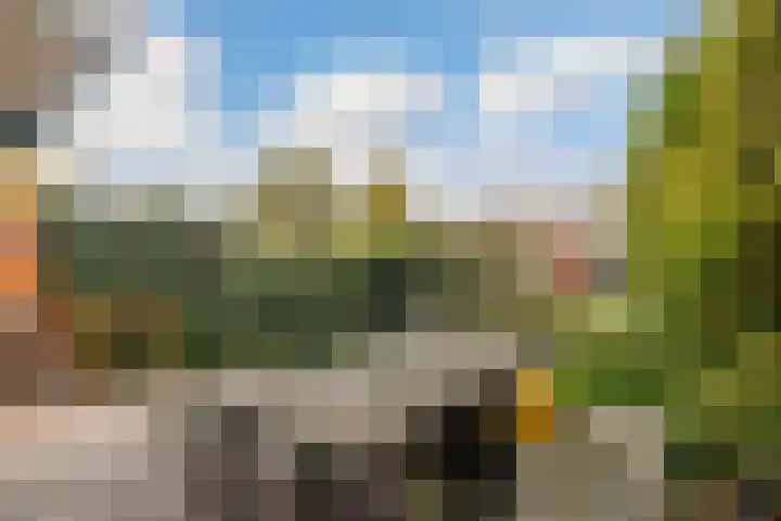 Ramlehweg 32 C Rotterdam thumbnail 14