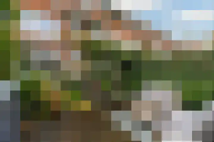 Ramlehweg 32 C Rotterdam thumbnail 17