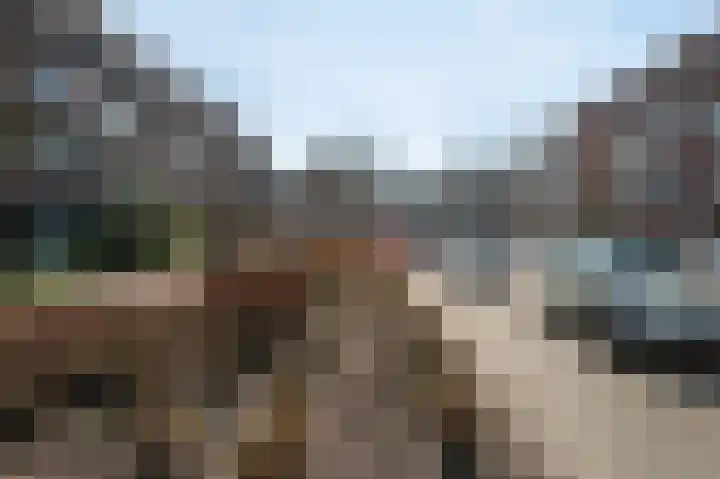Ramlehweg 32 C Rotterdam thumbnail 34