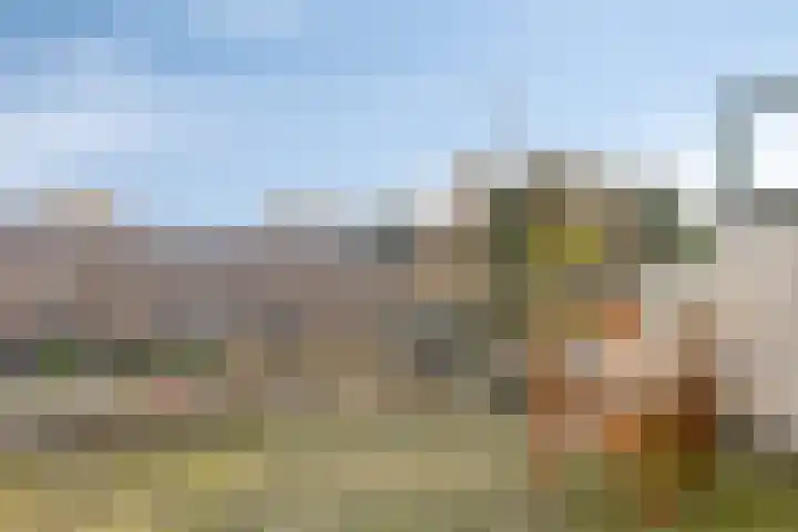 Ramlehweg 32 C Rotterdam thumbnail 36