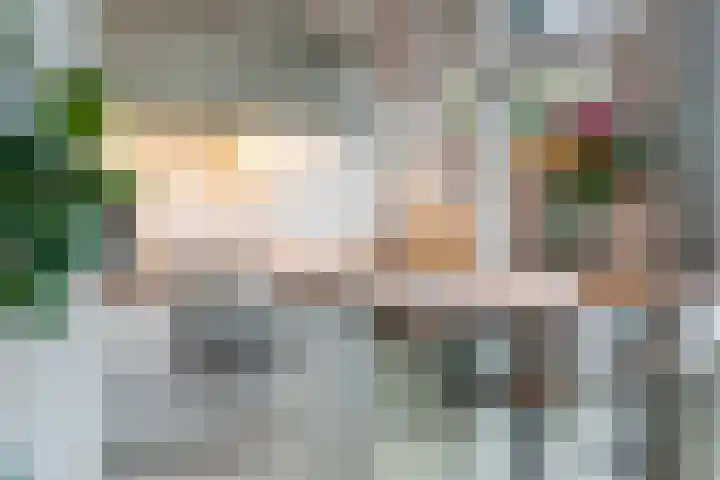 Ramlehweg 32 C Rotterdam thumbnail 4