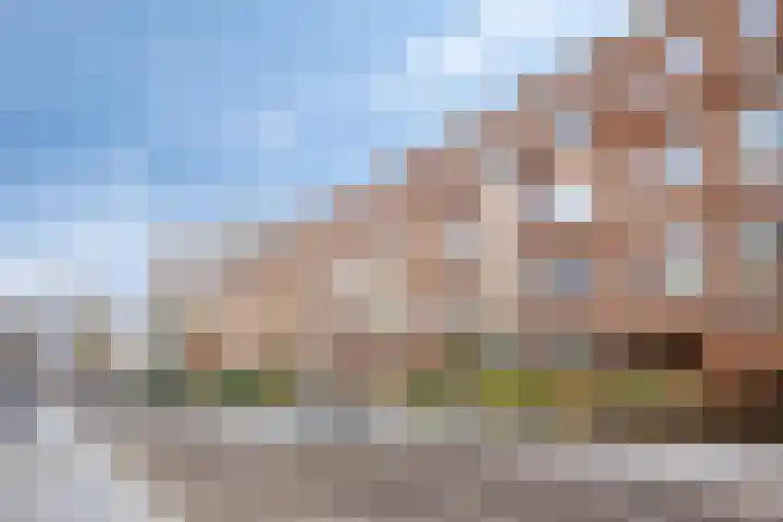 Ramlehweg 32 C Rotterdam thumbnail 45