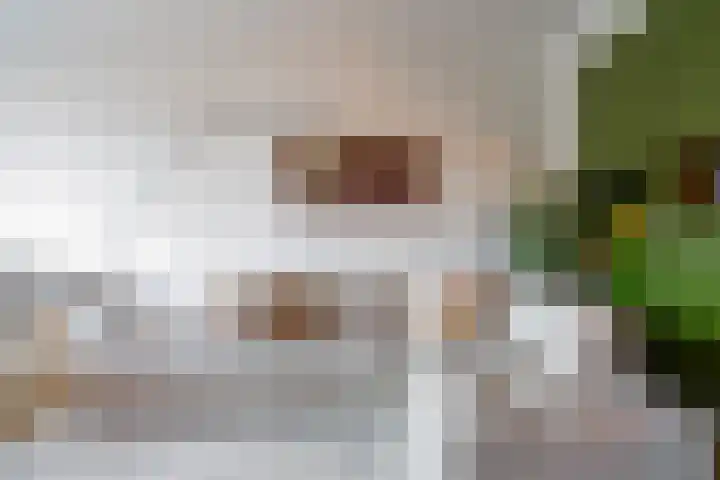 Ramlehweg 32 C Rotterdam thumbnail 7