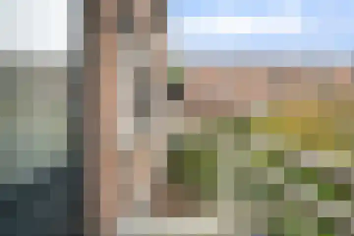 Ramlehweg 35 A Rotterdam thumbnail 34