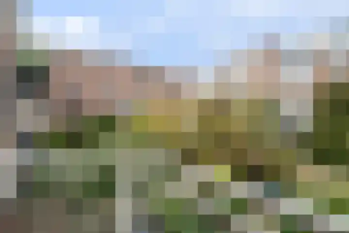 Ramlehweg 35 A Rotterdam thumbnail 35