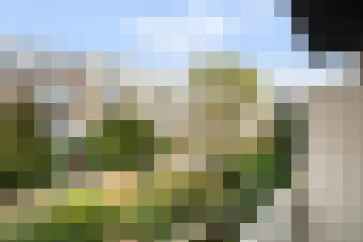 Ramlehweg 35 A Rotterdam thumbnail 36