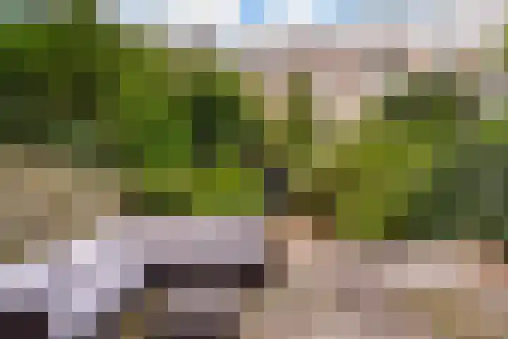 Ramlehweg 35 A Rotterdam thumbnail 4