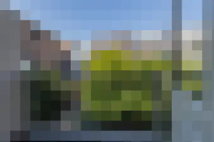 Ramlehweg 37 C Rotterdam thumbnail 18