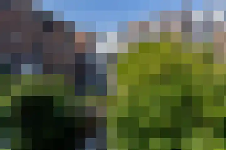 Ramlehweg 37 C Rotterdam thumbnail 21