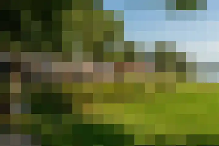 Ramlehweg 37 C Rotterdam thumbnail 27