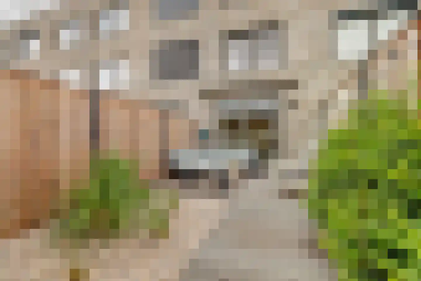 Rammazeynhoek 8 Gouda thumbnail 30