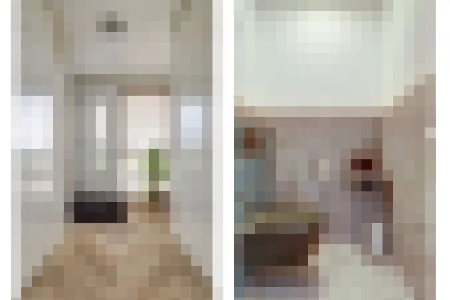 Rammazeynhoek 8 Gouda thumbnail 6