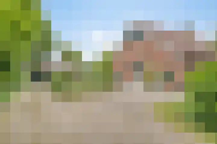 Rammelbroeksweg 1 Rekken thumbnail 10