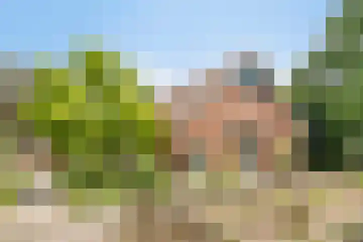 Rammelbroeksweg 1 Rekken thumbnail 12