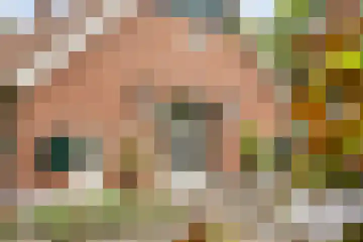 Rammelbroeksweg 1 Rekken thumbnail 13