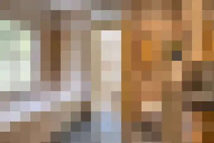 Rammelbroeksweg 1 Rekken thumbnail 5