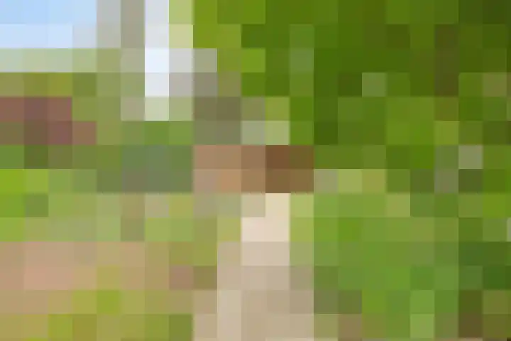 Rammelbroeksweg 1 Rekken thumbnail 50