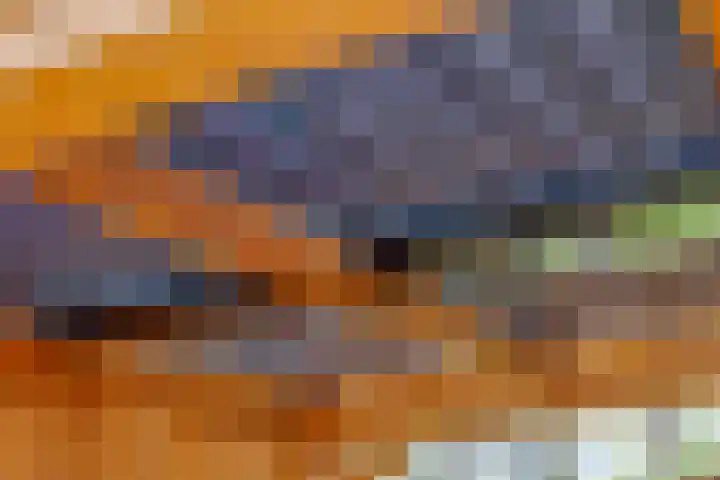 Rammelbroeksweg 1 Rekken thumbnail 55